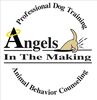 ANGELS IN THE MAKING, DOG TRAINING IN GRAND JUNCTION, CO